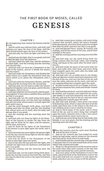 KJV Gift and Award Bible - Leather-Look - Purple - Red Letter Edition - Comfort Print (Case of 24)