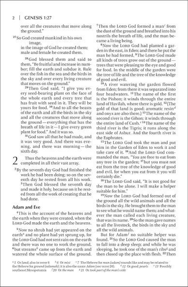 NIV Outreach Bible, Large Print (Paperback) - Bulk Case of 16