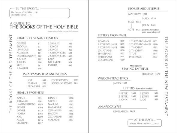 NIrV Free on the Inside Bible, Large Print (Paperback) - Bulk Case of 20