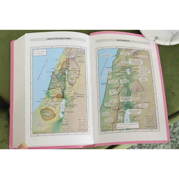 NIV Gift and Award Bible - Leather-Look - Pink - Red Letter Edition - Comfort Print (Case of 28)
