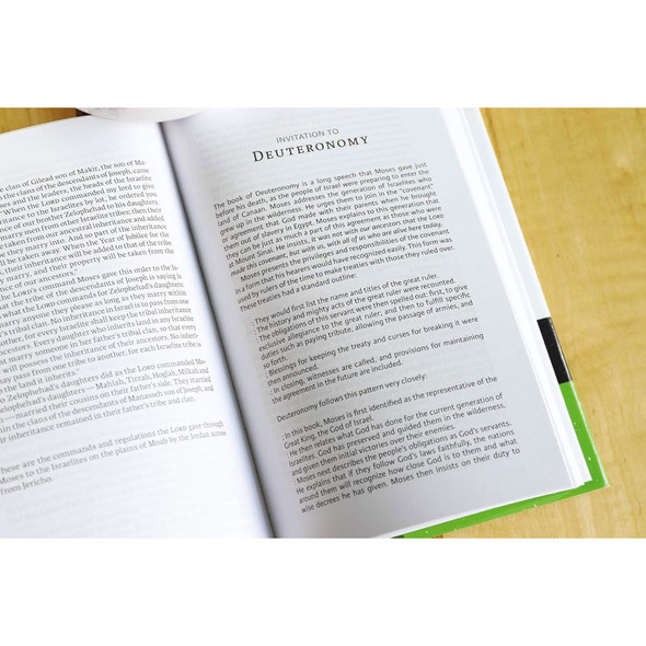 NIV The Books of the Bible: Covenant History - Hardcover (Case of 20)
