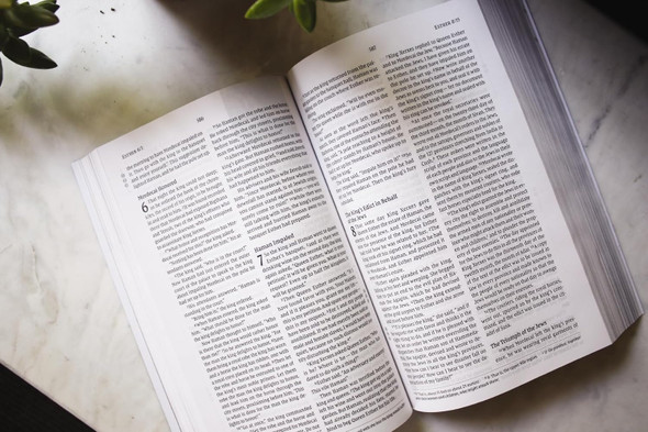 NIV Celebrate Recovery Study Bible (Paperback) 35th Anniversary Edition - Bulk Case of 12