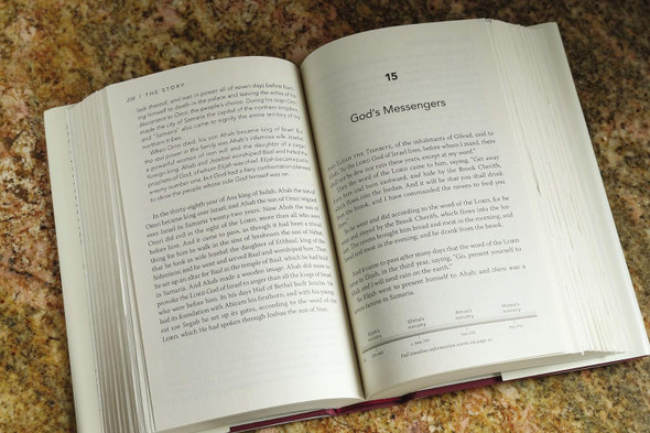 NKJV The Story - Hardcover (Case of 16)