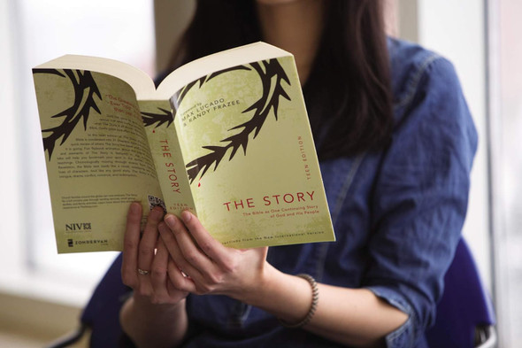 NIV The Story Student Edition - Paperback (Case of 24)