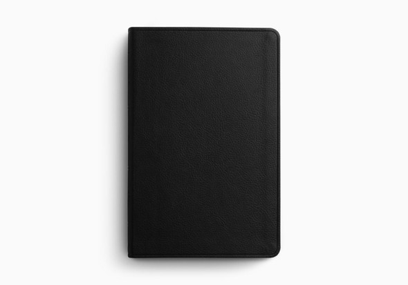 ESV Value Thinline Bible (TruTone, Black) - Case of 24
