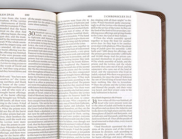 ESV Value Large Print Compact Bible (TruTone, Teal, Ornament Design) - Case of 28