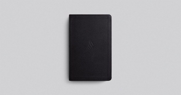 ESV Premium Gift Bible (TruTone Leather, Midnight, Flame Design) - Bulk Case of 24