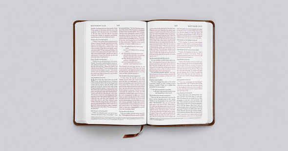 ESV Thinline Bible (TruTone, Royal Lion) - Case of 16
