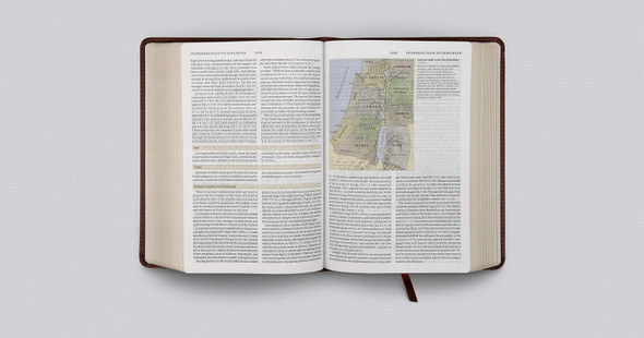 ESV Study Bible, Personal Size (TruTone, Brown) - Case of 12