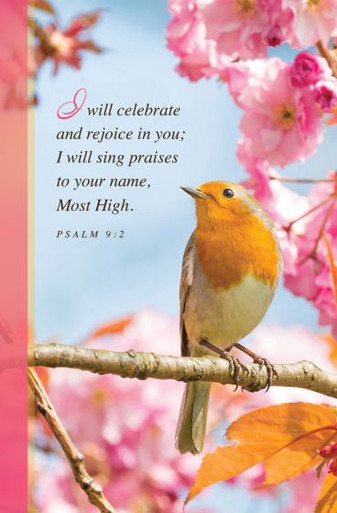 Church Bulletin 11" - General - I Will Celebrate and Rejoice in You ...