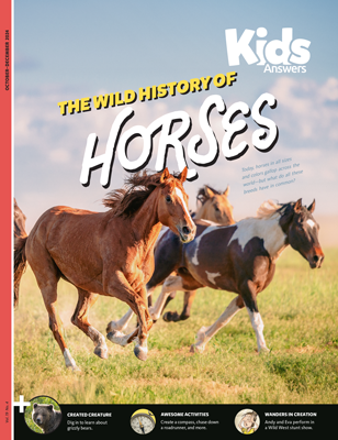 THE WILD HORSE PLACENTA 60g 2本 Kids Answers - The Wild History of Horses - Pack of 10 - Wonder