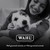 WAHL Professional Animal Attachment Guide Comb 10-Pack Grooming Set (Fits only with Wahl's Show Pro Plus, Color Groom, Stable Grip, Iron Horse, Pro Ion, U-Clip, & Deluxe U-Clip Clippers) (3173-500)