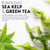 OYA Clarity Clarifying Shampoo - Sulfate Free Wash Removes Impurities, Residue & Buildup - Nourishing Formula w/Amino Acids, Sea Kelp & Green Tea - Salon Quality Care for All Hair Types - 33.8 Fl Oz