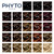 PHYTO Phytocolor Permanent Hair Color, 6.3 Dark Golden Blonde, with Botanical Pigments, 100% Grey Hair Coverage, Ammonia-free, PPD-free, Resorcin-free, 0.42 oz.