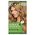 Clairol Natural Instincts Demi-Permanent Hair Dye, 8G Medium Golden Blonde Hair Color, Pack of 1