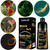 TSSPLUS Black Hair Dye Shampoo, 500ml - Organic Natural Hair Color Dye Shampoo for Women & Men, Instant Gray White Hair Cover, Plant Essence, Semi-Permanent