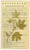 naturcolor Haircolor Hair Dye - Burdock, 4 Fl Oz (4N)
