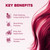 Splat Vegan and Cruelty-Free Semi-Permanent Hair Color Dye (6 Fl Oz, MIDNIGHT RUBY)