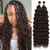 Eerya Long Curly Braiding Hair 24 Inch 2 Packs Deep Ocean Wave Crochet Hair for Black Women Deep Wave Braiding Hair for Boho Braids（24 inch, #4）