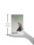 Betty Dain Hair Funnel For Upright Position Washing/Shampooing, Comfortable Alternative for Elderly, Handicapped, or Individuals With Neck Problems, Diverts Water into Bowl or Sink