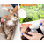 Soerreo Sink Spray Rubber Hose, Portable Rubber Hose Nozzle, Shampoo Sprayer, Easy to Use, Suitable for People or Pets