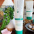 GREAT CLIPS Solutions Curl Taming Cream, 6oz | Enhance & Define Curls | For a Tame and Polished Look