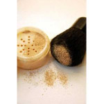 Foundation with Kabuki Set