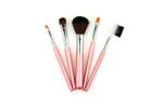 Mini Pink Eco Travel Brush Set