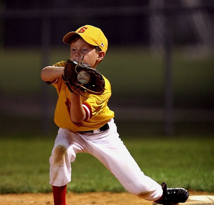 Champro Sports Baseball, Basketball and Other Sporting Goods