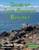 Tales of Life Science - Learning Through Story-Telling - for ages 12-14