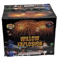 Wholesale Firework Cases Willow Explosion 4/1