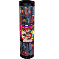 Wholesale Firework Cases Black Label M-150 Salute 24/1