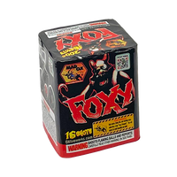 Wholesale Firework Cases Foxy 24/1