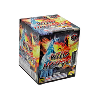 Wholesale Fireworks Cases Wild Horses 25 Shot 12/1