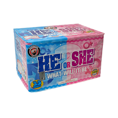 Wholesale Firework Cases - He or She, What Will it Be? (Blue Star Effect) 4/1