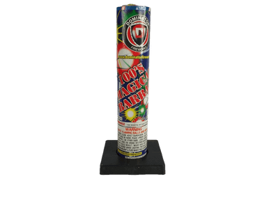 Wholesale Firework Cases - 100 Shot Magical Barrage 40/1