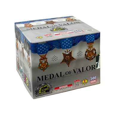 Medal of Valor