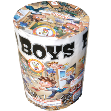 Bad Boys