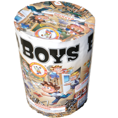 Wholesale Firework Cases Bad Boys 24/1