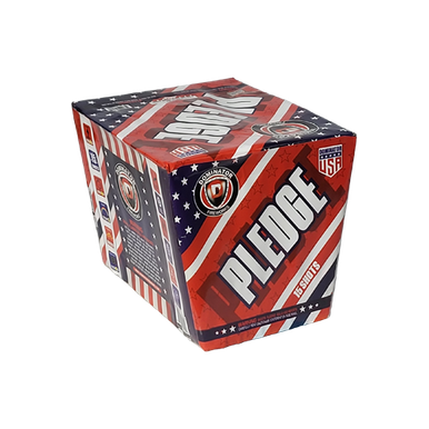 Wholesale Firework Cases - Pledge 12/1