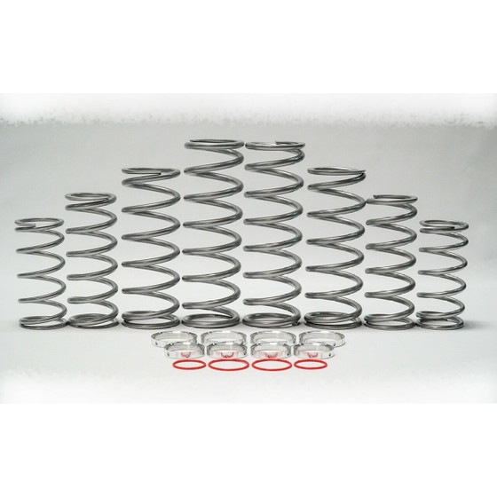 Shock Therapy Polaris RZR XP 1000 Fox Edition Dual Rate Spring Kit
