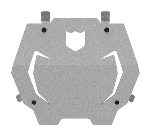 Buy Pro Armor 2024 Polaris RZR XP / XP4 Rear Bumper Skid Plate at UTV