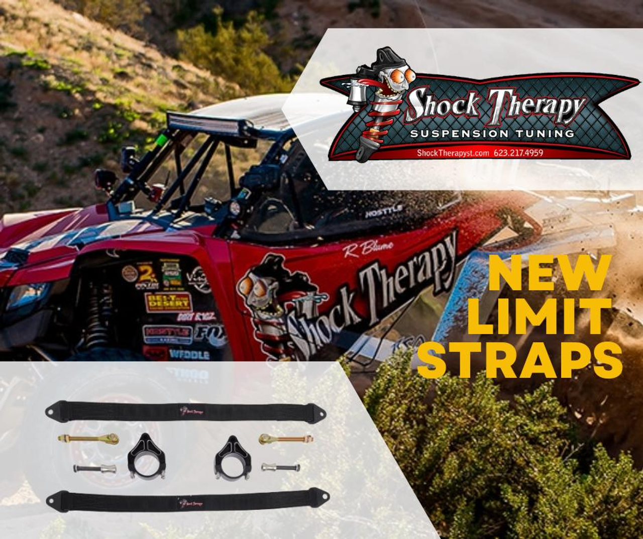 Shock Therapy Yamaha RMAX Limit Strap System | Shock Therapy