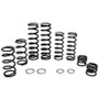 ZBroz Racing RZR XP 4 Turbo S Dual Rate Spring Kit (FOX Live Valve) K30-PL1023-0 - UTV Source