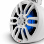 DS18 Audio 8" Pod 375W Speaker with Integrated RGB LED Lights