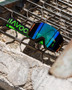 Havoc Racing Co Infinity Goggle (Hulk)  UTVS0093125