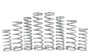 MTS Off-Road Can-Am Maverick R Spring Kit A10-SK-MAIN - UTV Source