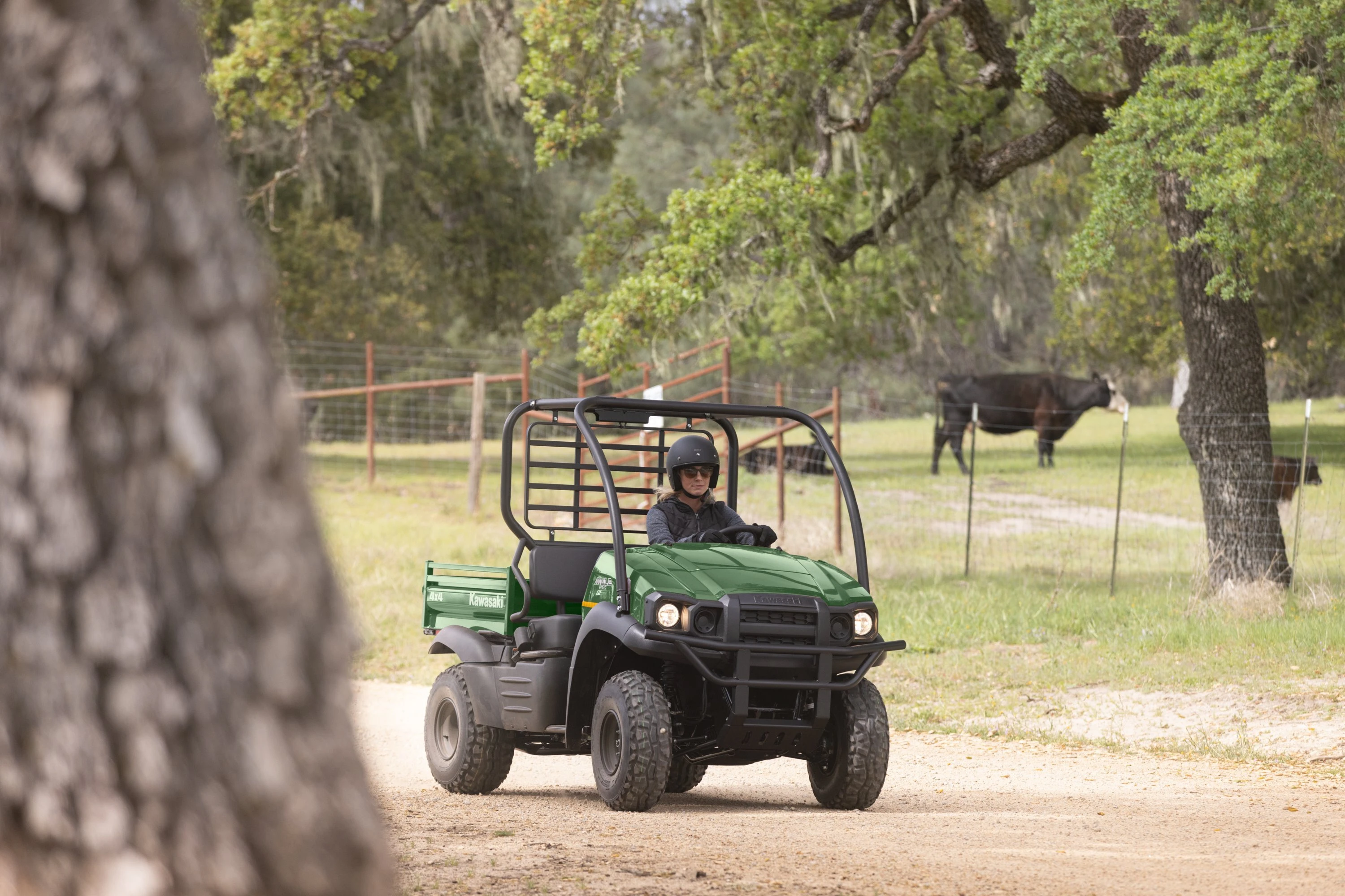 2027 Kawasaki MULE SX 4x4 angled view