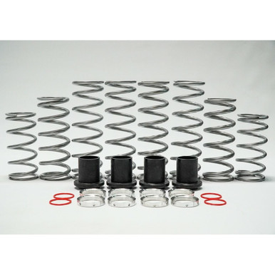 Shock Therapy Dual Rate Spring Kit (RZR 800) (4-Seat) - 100-1001-04