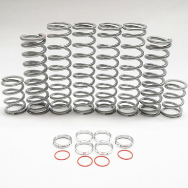 Shock Therapy Polaris RZR Pro XP Dual Rate Spring Kit
